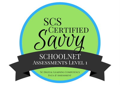 Schoolnet Assessments Level 1 Badge